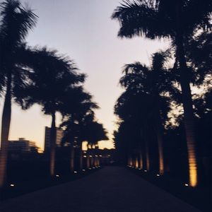 Meet your Posher, Kendall